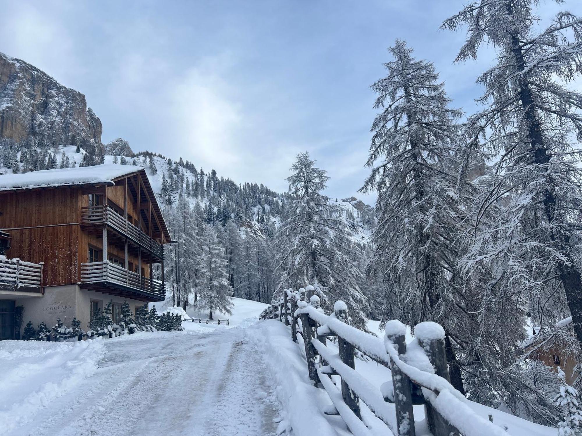 Chalet Cogolara Colfosco Dış mekan fotoğraf