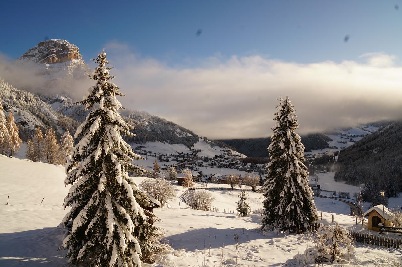 Chalet Cogolara Colfosco Dış mekan fotoğraf